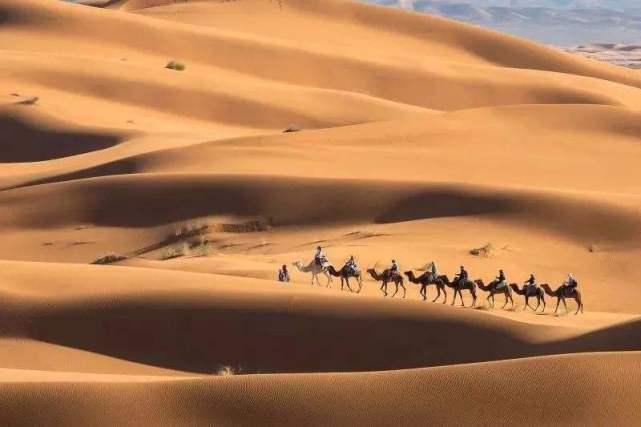 中国第一大沙漠：曾投入1亿资金栽种树林，如今却是这样的状态