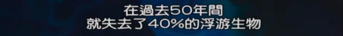 杨幂最新大片也太惊艳了吧！但背后的故事真的很残忍