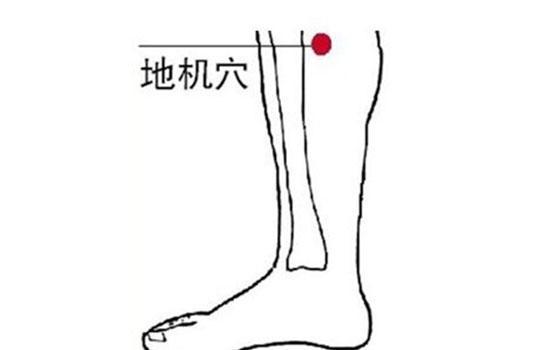 春三月经络堵 穴位畅通全身之气