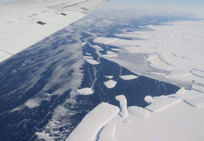 南极冰下800米！科学家发现“巨型”生物，或改变对地外生命看法