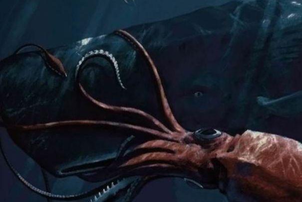 深海4000米发现海怪，身长超过20米，与抹香鲸搏杀的深海巨怪