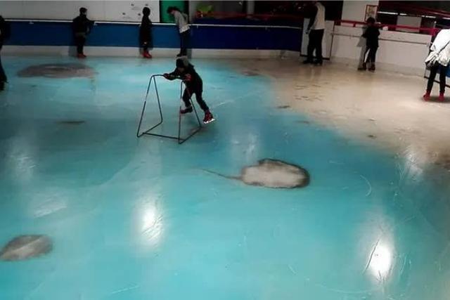 日本最残忍溜冰场，将5000条鱼冻在冰下，只为吸引顾客来此