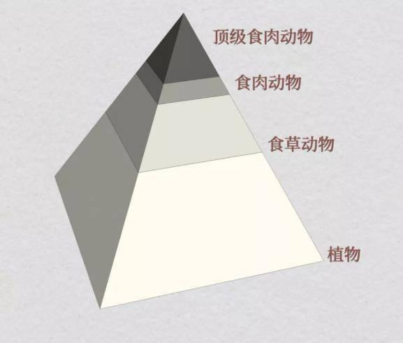 揭秘西伯利亚玛雅预言—预言真的那么准吗？
