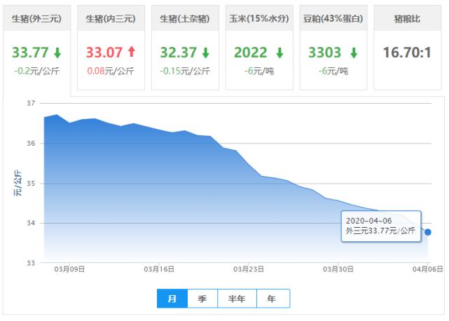 4月6日猪价【跌破16.5元】——最新活猪价格报价