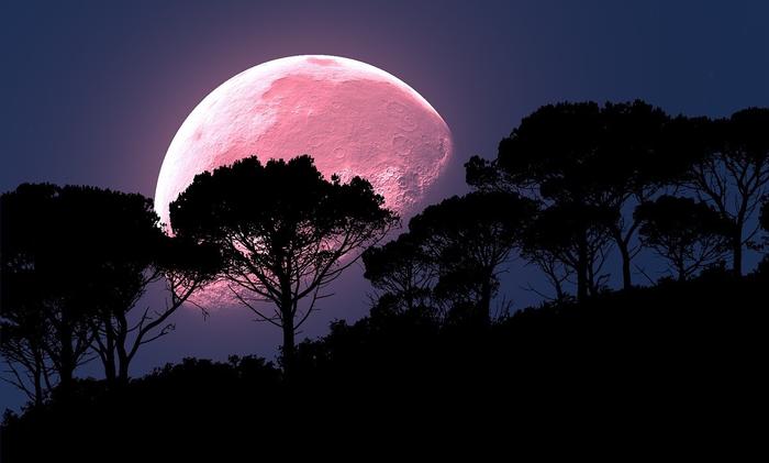 2020超级月亮：注意！四月的“粉红月亮”将在本周出现