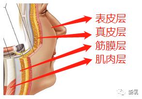 刘亦菲的美貌还能再打10年吗?这部位隐约垮了