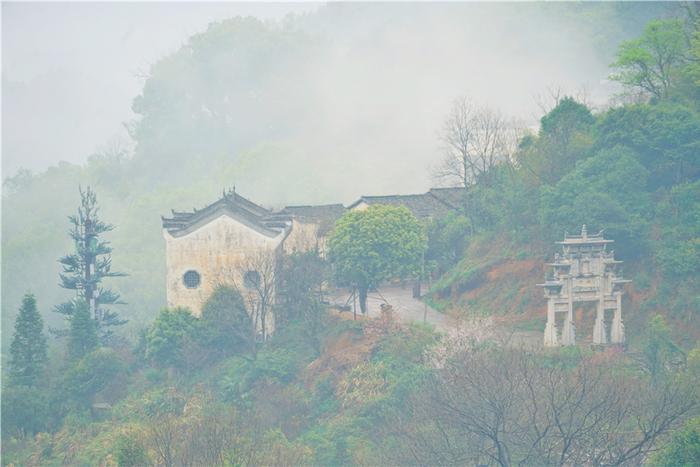 婺源篁岭的春天，梯田油菜花漫山遍野盛放