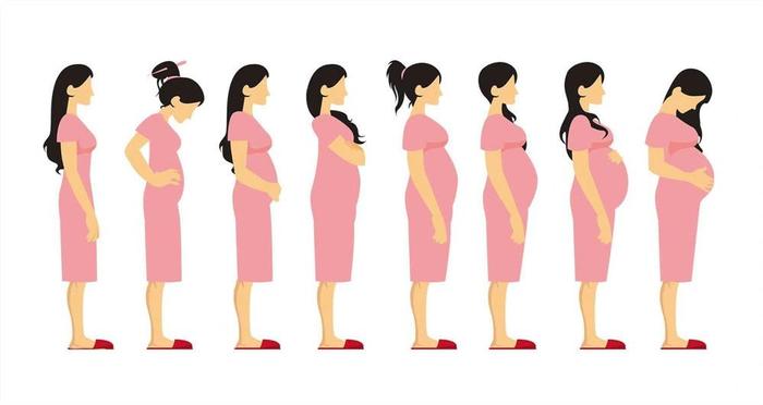 怀孕为什么准妈肚子上会“长毛”？
