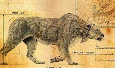 鬣狗的祖先是巨鬣狗，老虎的祖先是剑齿虎，那么狮子的祖先是什么