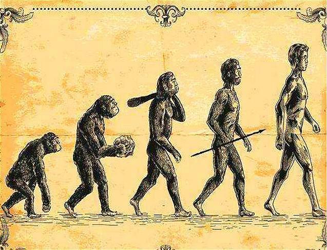 人类起源于哪里？黄种是不是人类的祖先？基于5个研究视角的探索