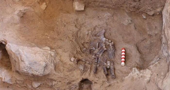 史前人类真的存在，出土尼安德特人遗骸，为史前人类提供新证据
