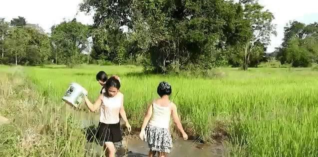 中国人到缅甸游玩，看到缅甸女孩摸鱼，网友：这方法很原始啊
