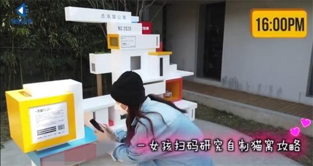 北京某小区齐心打造流浪猫公寓！有保安负责喂水，大叔准备毯子！