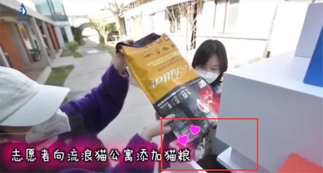 北京某小区齐心打造流浪猫公寓！有保安负责喂水，大叔准备毯子！