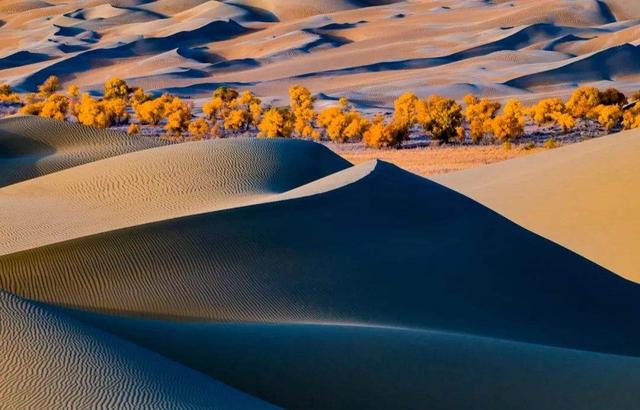 塔克拉玛干沙漠变成草原，对气候有什么影响？科学家：...