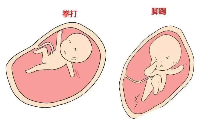 关于“胎儿睡眠”的9个重要知识