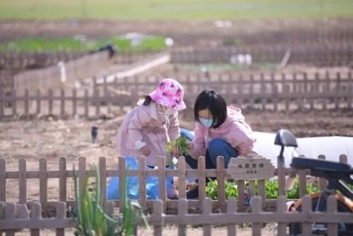 大爱城生态农场丨春余草木繁，耕种满田园