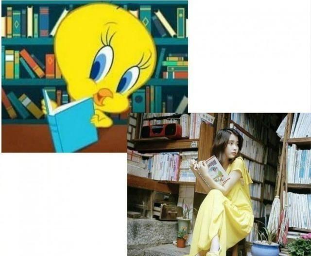 IU李知恩头像「翠迪鸟」根本是她本人的翻版 神同步时刻令人笑翻
