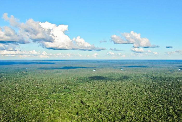 如果现在地球上的森林面积增加一倍，对地理环境会有怎样的影响？