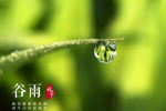 谷雨时节,最该多吃这种水果,营养是苹果的6倍,错过要再等一年