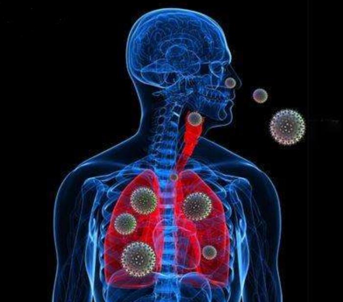 科学带你了解冠状病毒“袭击”人体全过程！