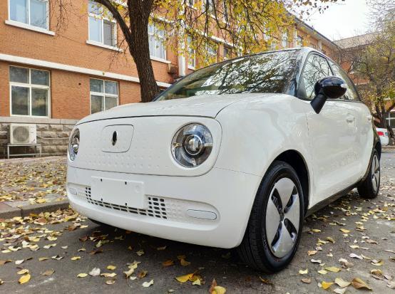 欧拉R1凭什么能引领小型新能源汽车