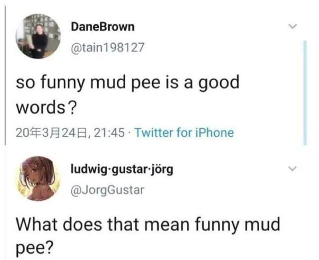 继“喜大普奔”等新网络词后，中式英文funny mud pee走红