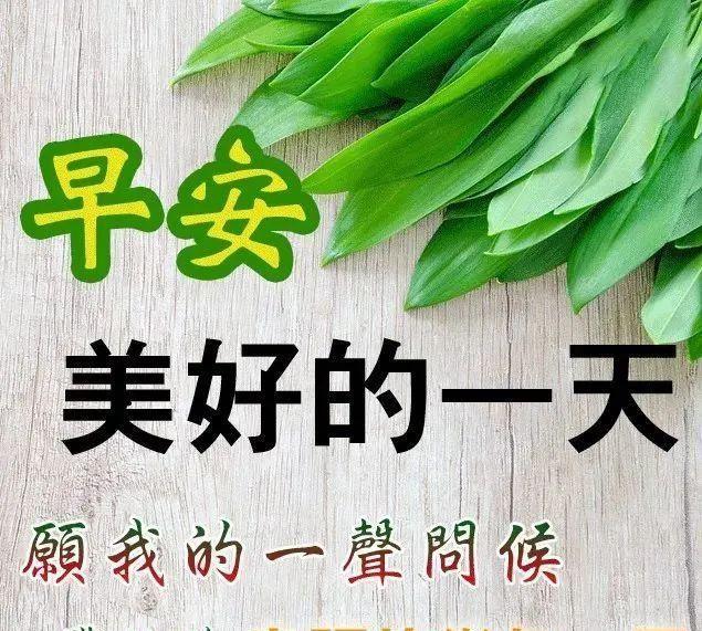 清晨正能量满满的早安励志句子，最新早上好问候祝福语美图！