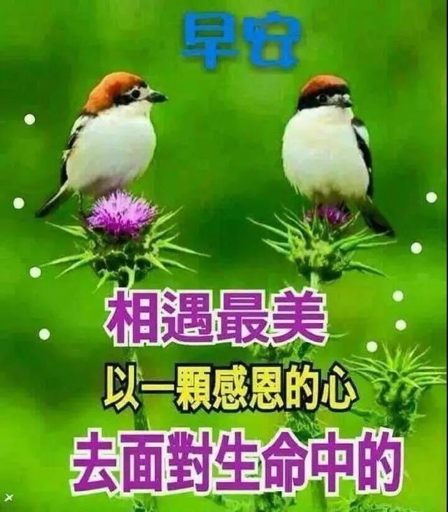 清晨正能量满满的早安励志句子，最新早上好问候祝福语美图！