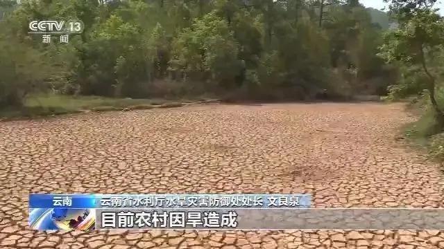 全国各地气象灾害频发，今年水果要涨价？