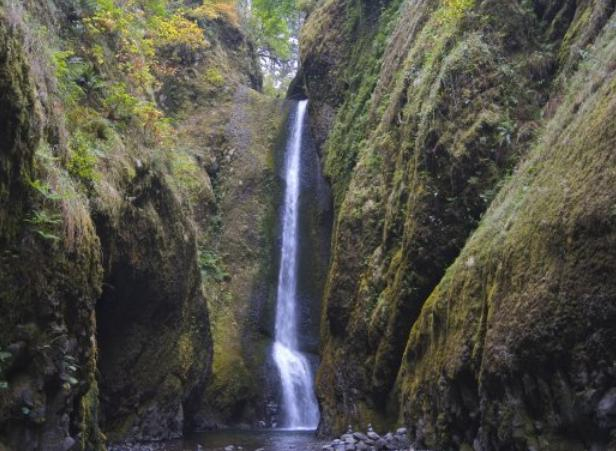 姑苏城外的茶约：为什么资深爱茶人都钟情明前碧螺春