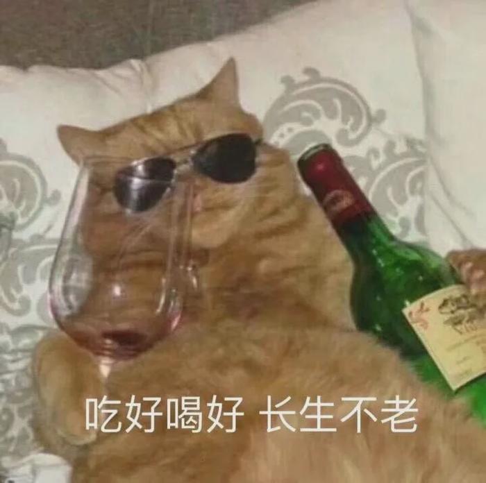 宋祖儿酒后和路人大打出手,喝了什么能醉成这样