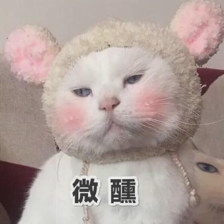 宋祖儿酒后和路人大打出手,喝了什么能醉成这样