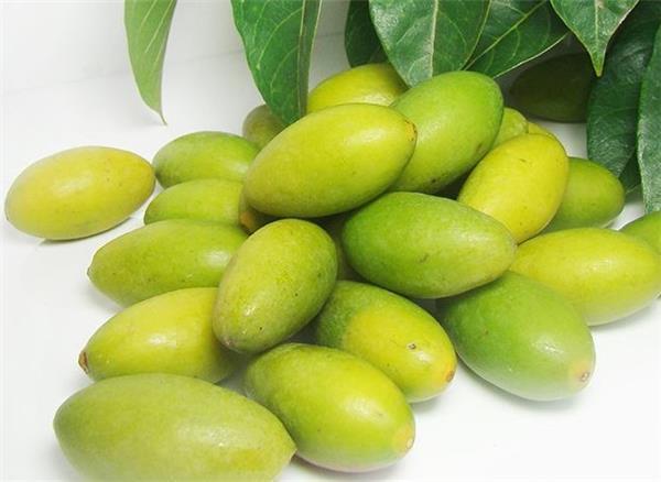 青果（橄榄）的营养功效以及食用禁忌