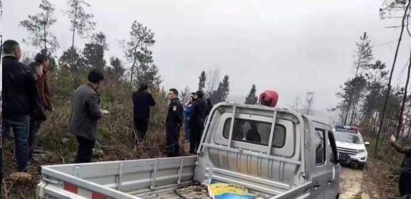 湄潭一男子把自家207棵树全部砍倒了，准备种茶叶被拘留