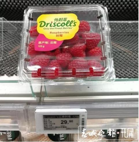 大自然神奇的馈赠:龙陵漫山遍野的天然野果 等您来品尝
