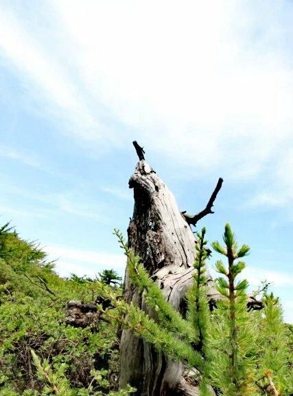 醉美秦岭东梁