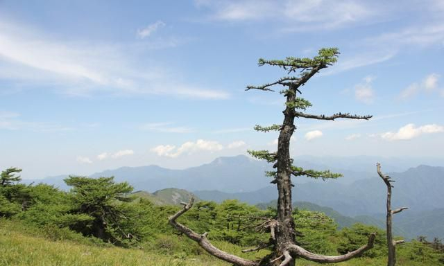 醉美秦岭东梁