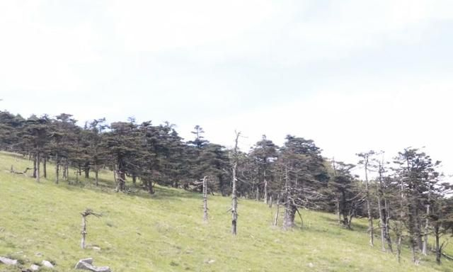 醉美秦岭东梁