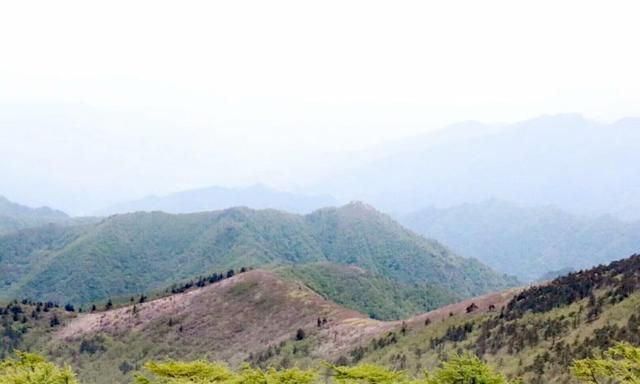 醉美秦岭东梁