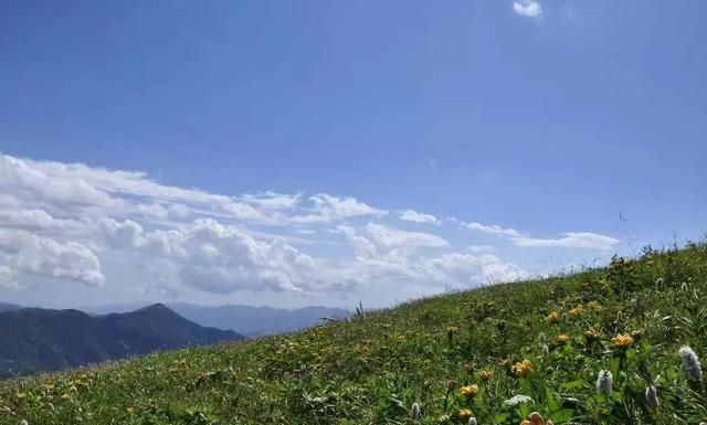 醉美秦岭东梁