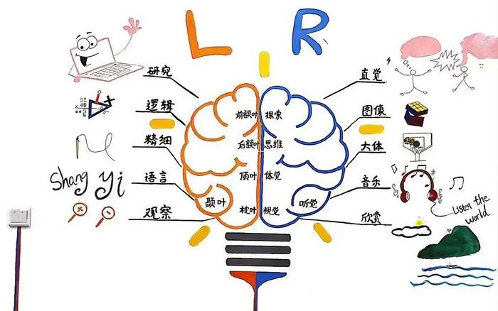 科普！“三岁看老”是真的，孩子的早期教育知多少？