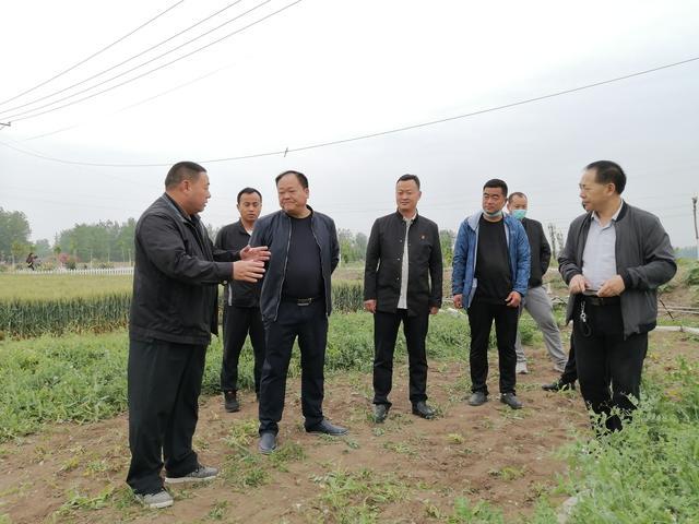 郸城：商务局长为农产品代言 助力电商扶贫