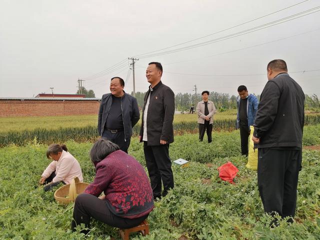 郸城：商务局长为农产品代言 助力电商扶贫