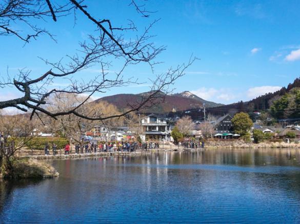 日本最“特别”温泉，一半温暖一半清凉，游客：冰火两重天