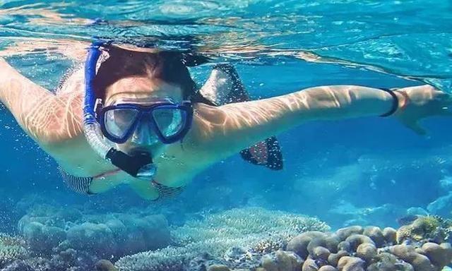 好想去海边浪浪浪浪浪啊