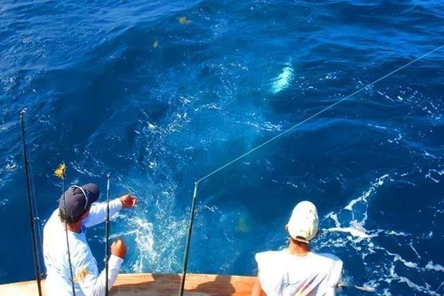 好想去海边浪浪浪浪浪啊