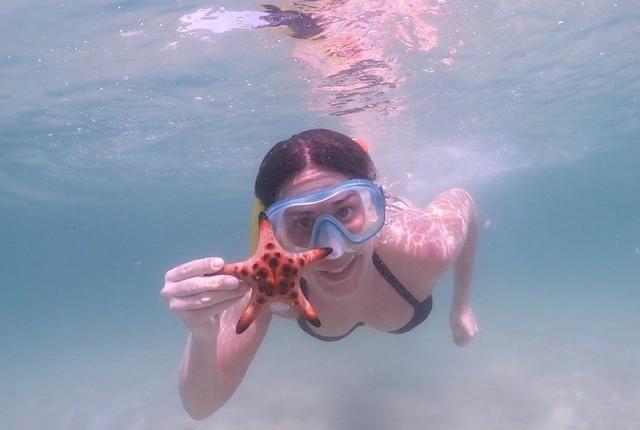 好想去海边浪浪浪浪浪啊