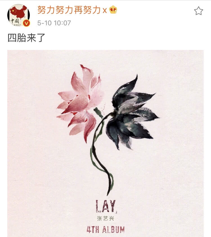 张艺兴四胎来了什么梗什么意思