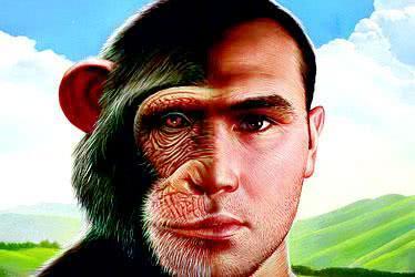 现在的猿猴能“变”成人吗？为什么以前的古猿会成为人！